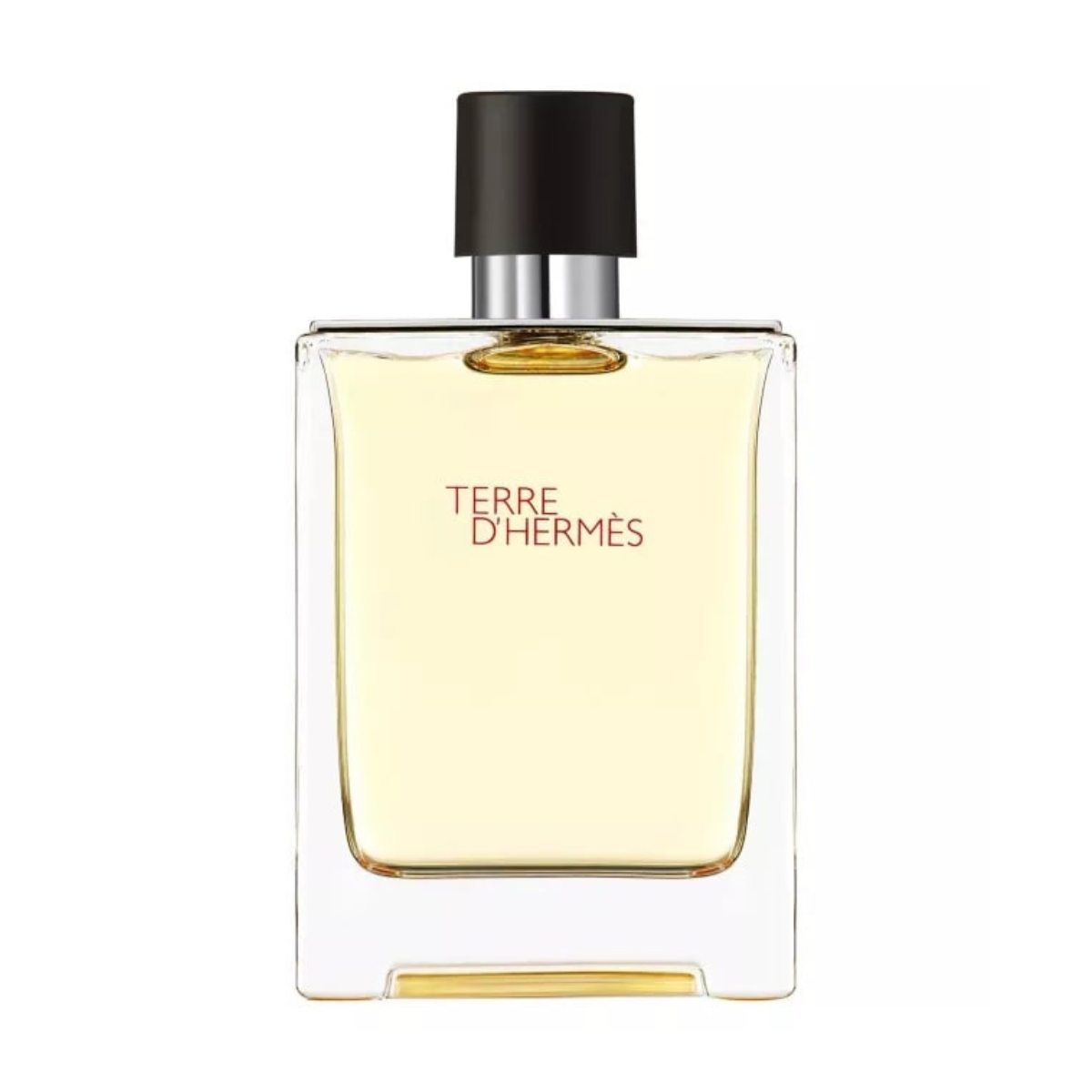 TESTER Hermes Terre D'hermes EDT 100 ml